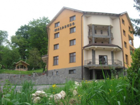 Pension Waldburg Râşnov